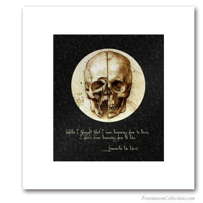 Le Crâne de Vinci. Léonard de vinci, 1489. Étude anatomique du crâne humain. Lisez ce qu'écrit (à l'envers) Léonard... Art maçonnique